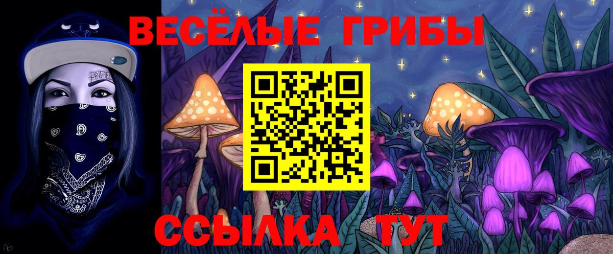 Галлюциногенные грибы Psilocybine cubensis Звенигород