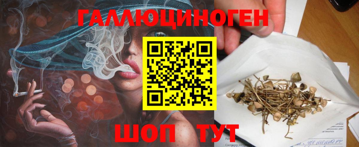 Псилоцибиновые грибы Psilocybe  Вход с VPN  Псилоцибиновые грибы мухоморы  Звенигород 