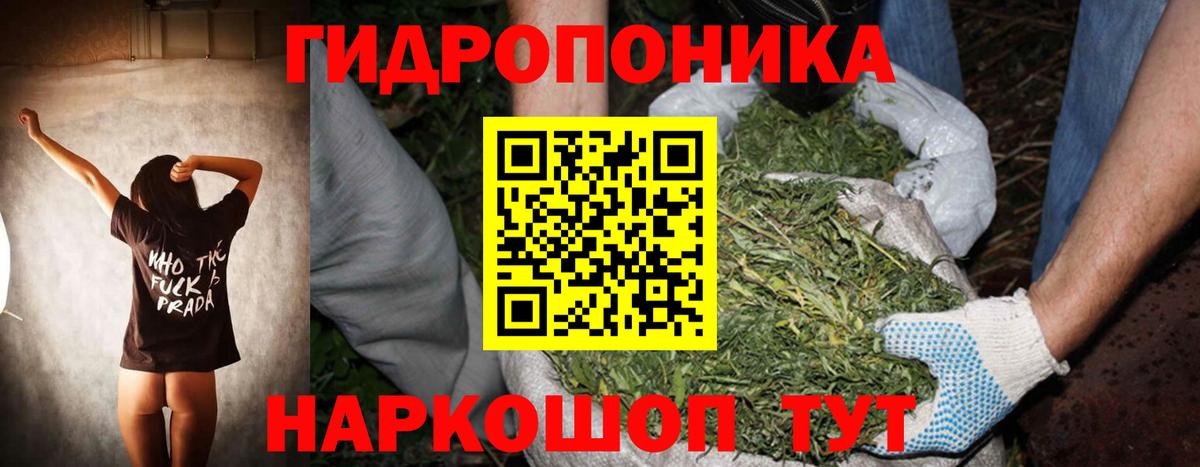 Марихуана Ganja  Марихуана Amnesia  Звенигород  Бошки Шишки планчик  Вход с VPN 